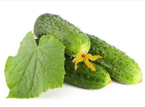 绿色的树瓜怎么吃,绿色树瓜的多样食法探索